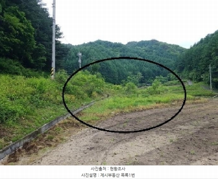 2025타경50699 강원특별자치도 홍천군 홍천읍 장전평리 683-3 농지 경매 이미지