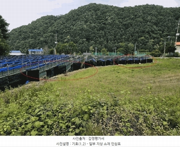 2025타경50703 강원특별자치도 홍천군 남면 월천리 355 농지 경매 이미지