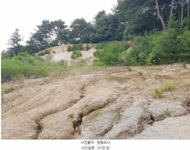 2025타경50715 강원특별자치도 춘천시 퇴계동 산2 임야 경매 이미지
