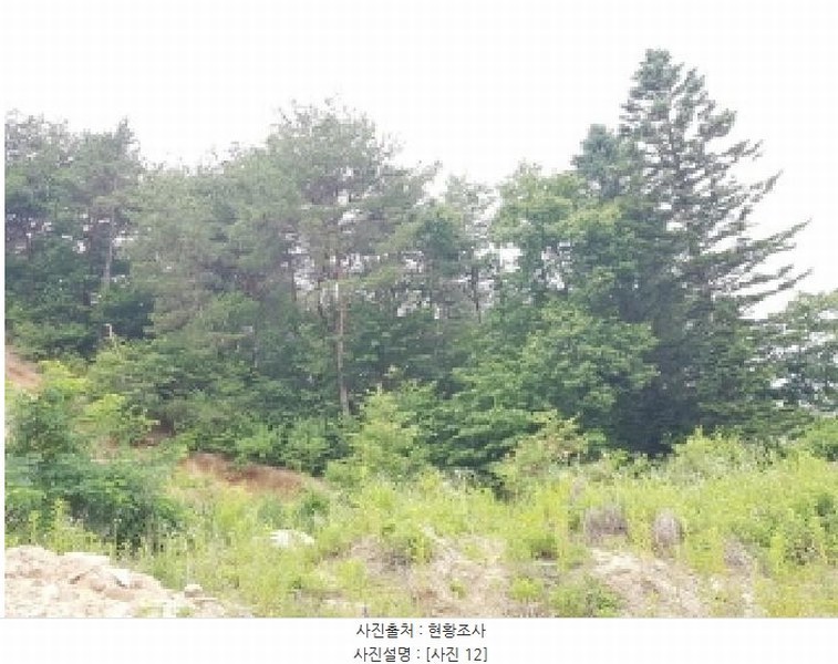 2025타경50715 강원특별자치도 춘천시 퇴계동 산2 임야 경매 이미지