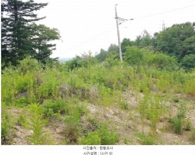 2025타경50715 강원특별자치도 춘천시 퇴계동 산2 임야 경매 이미지