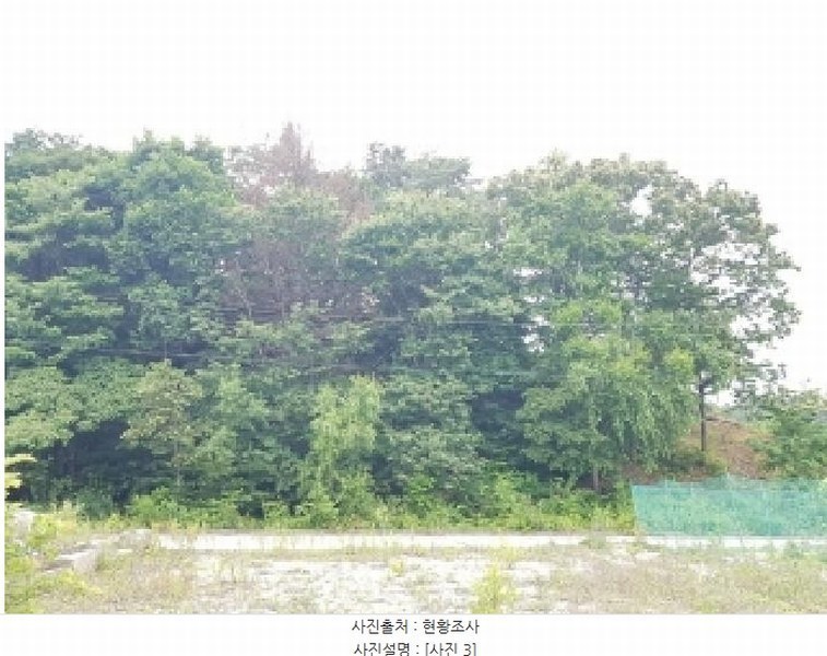 2025타경50715 강원특별자치도 춘천시 퇴계동 산2 임야 경매 이미지