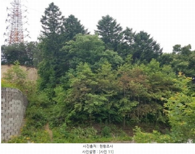 2025타경50715 강원특별자치도 춘천시 퇴계동 산2 임야 경매 이미지