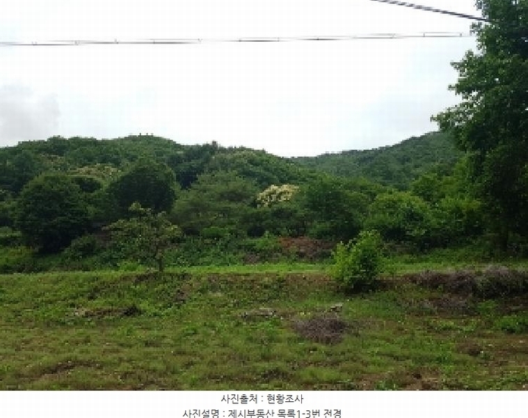 2025타경50723 강원특별자치도 홍천군 홍천읍 결운리 산19-9 임야 경매 이미지