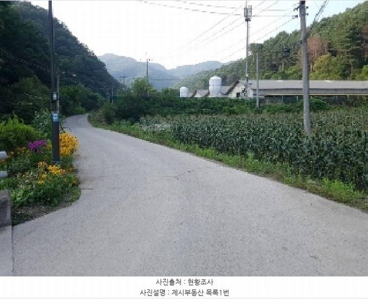 2025타경50756 강원특별자치도 춘천시 동산면 봉명리 413 농지 경매 이미지