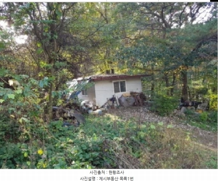 2025타경50803 강원특별자치도 홍천군 북방면 장항리 산8-2 다가구(원룸등) 경매 이미지
