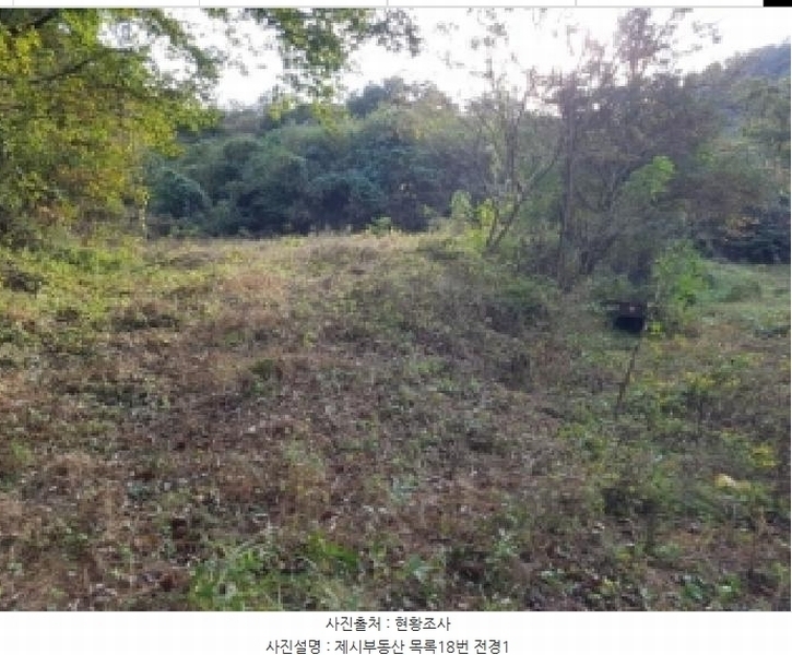 2025타경50803 강원특별자치도 홍천군 북방면 장항리 산8-2 다가구(원룸등) 경매 이미지
