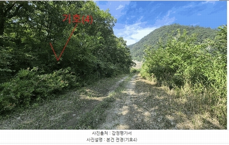 2025타경50803 강원특별자치도 홍천군 북방면 장항리 산8-2 다가구(원룸등) 경매 이미지