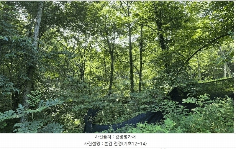 2025타경50803 강원특별자치도 홍천군 북방면 장항리 산8-2 다가구(원룸등) 경매 이미지