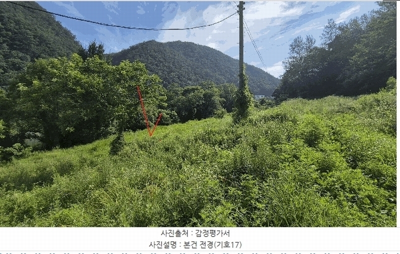 2025타경50803 강원특별자치도 홍천군 북방면 장항리 산8-2 다가구(원룸등) 경매 이미지
