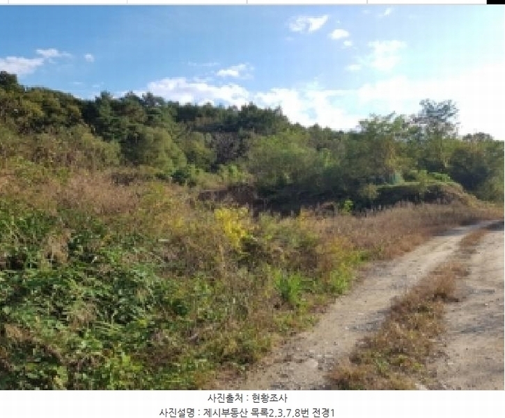 2025타경50803 강원특별자치도 홍천군 북방면 장항리 산8-2 다가구(원룸등) 경매 이미지