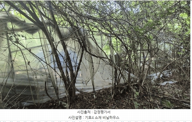 2025타경50803 강원특별자치도 홍천군 북방면 장항리 산8-2 다가구(원룸등) 경매 이미지