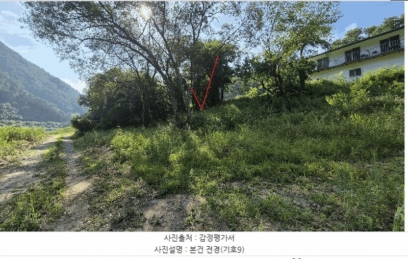 2025타경50803 강원특별자치도 홍천군 북방면 장항리 산8-2 다가구(원룸등) 경매 이미지