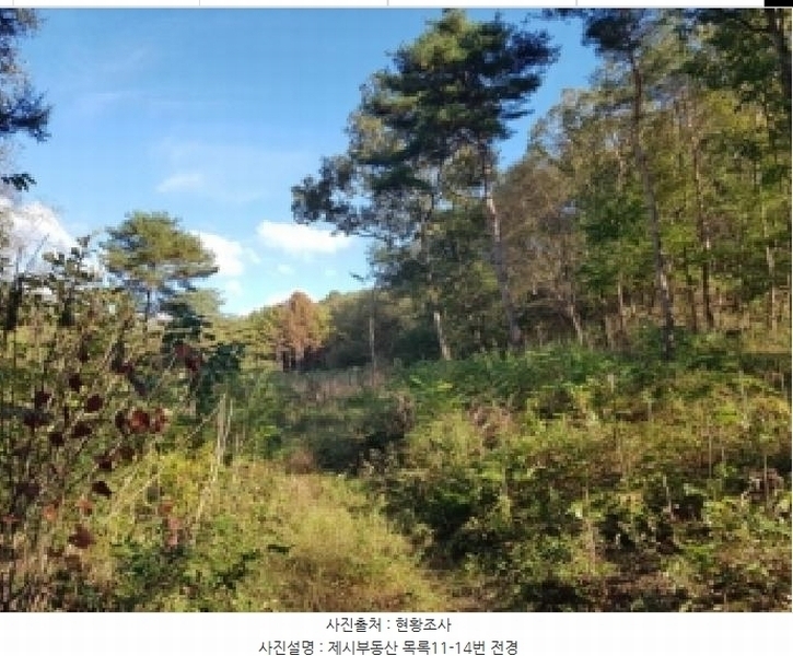 2025타경50803 강원특별자치도 홍천군 북방면 장항리 산8-2 다가구(원룸등) 경매 이미지