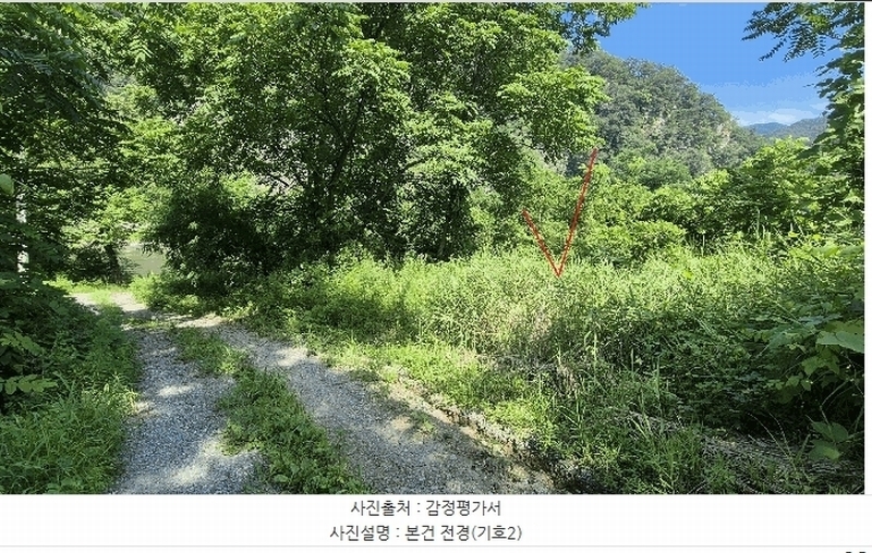 2025타경50803 강원특별자치도 홍천군 북방면 장항리 산8-2 다가구(원룸등) 경매 이미지