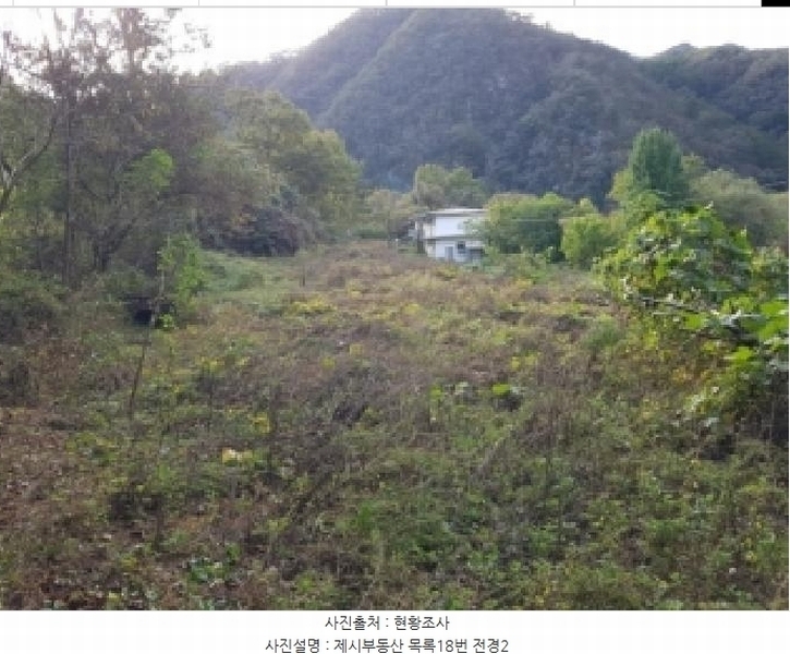 2025타경50803 강원특별자치도 홍천군 북방면 장항리 산8-2 다가구(원룸등) 경매 이미지