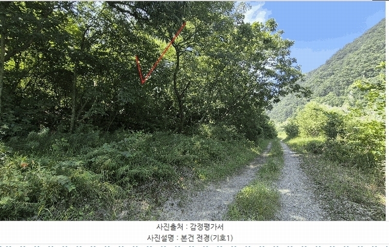 2025타경50803 강원특별자치도 홍천군 북방면 장항리 산8-2 다가구(원룸등) 경매 이미지