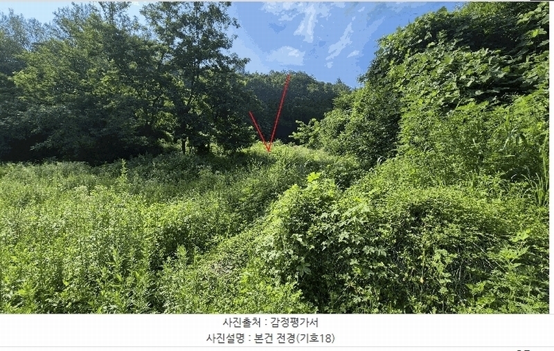 2025타경50803 강원특별자치도 홍천군 북방면 장항리 산8-2 다가구(원룸등) 경매 이미지