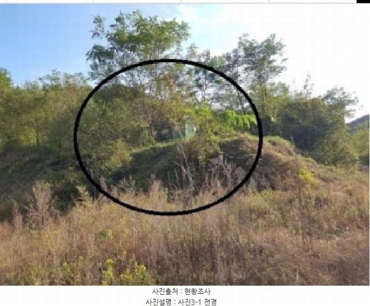 2025타경50803 강원특별자치도 홍천군 북방면 장항리 산8-2 다가구(원룸등) 경매 이미지