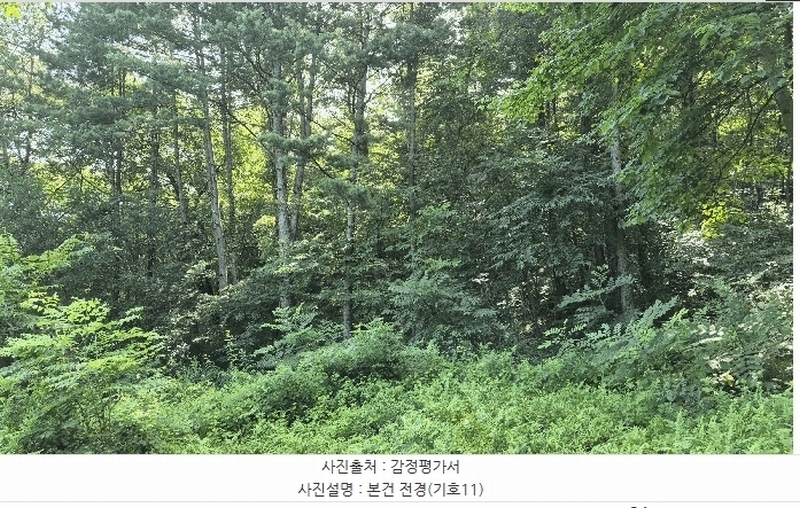 2025타경50803 강원특별자치도 홍천군 북방면 장항리 산8-2 다가구(원룸등) 경매 이미지