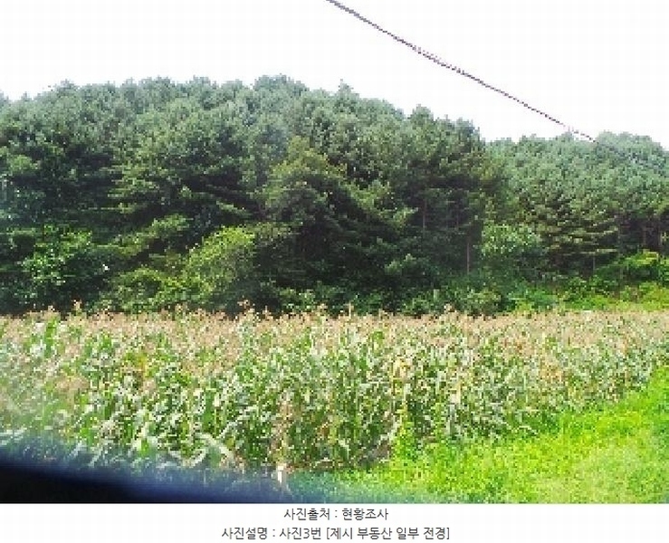 2025타경50806 강원특별자치도 화천군 간동면 유촌리 165-3 농지 경매 이미지