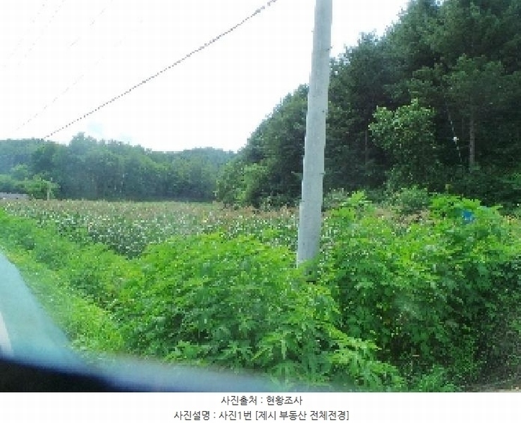 2025타경50806 강원특별자치도 화천군 간동면 유촌리 165-3 농지 경매 이미지