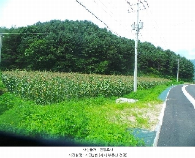 2025타경50806 강원특별자치도 화천군 간동면 유촌리 165-3 농지 경매 이미지