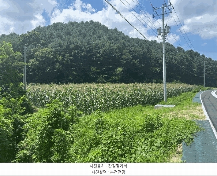 2025타경50806 강원특별자치도 화천군 간동면 유촌리 165-3 농지 경매 이미지