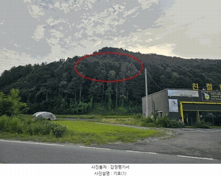 2025타경50807 강원특별자치도 홍천군 서면 팔봉리 산245-14 임야 경매 이미지