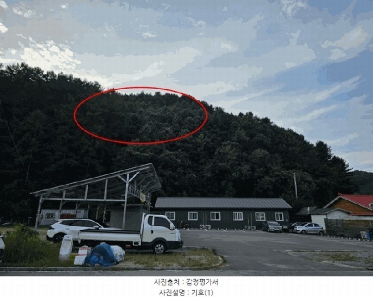 2025타경50807 강원특별자치도 홍천군 서면 팔봉리 산245-14 임야 경매 이미지