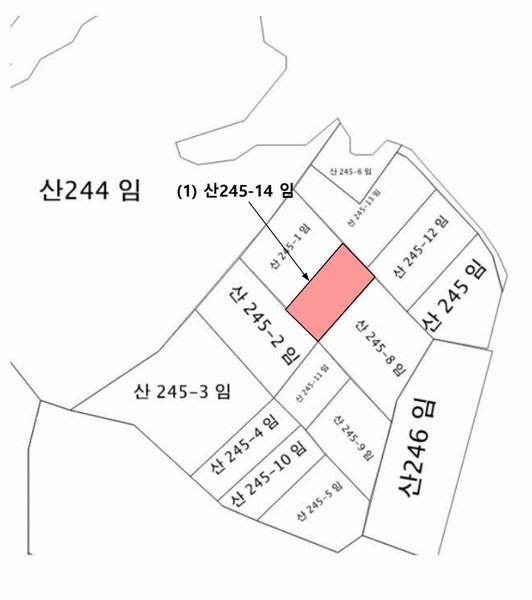 2025타경50807 강원특별자치도 홍천군 서면 팔봉리 산245-14 임야 경매 이미지