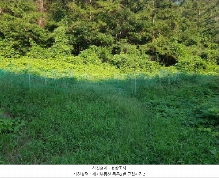 2025타경50824 강원특별자치도 춘천시 남산면 강촌리 435-4 임야 경매 이미지