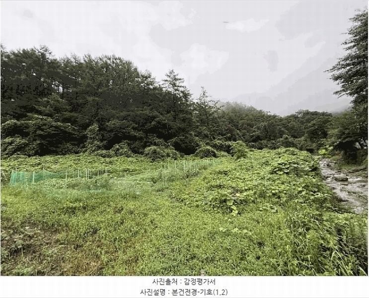 2025타경50824 강원특별자치도 춘천시 남산면 강촌리 435-4 임야 경매 이미지