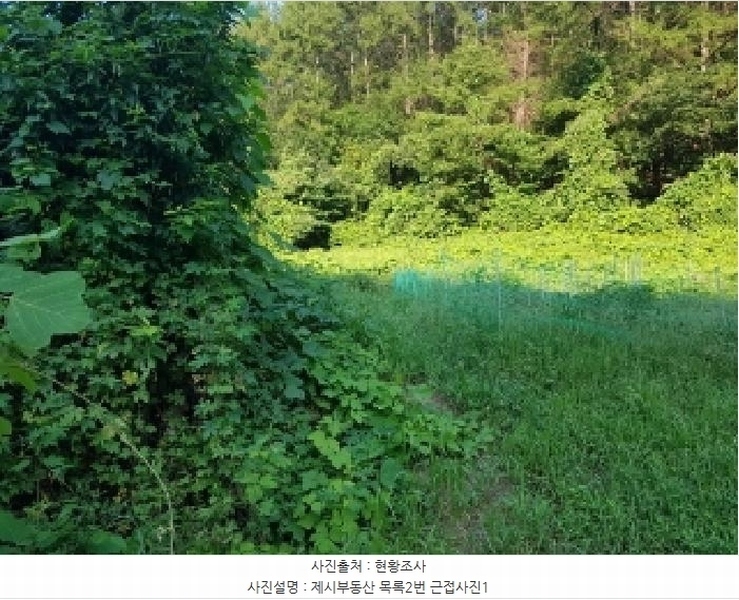2025타경50824 강원특별자치도 춘천시 남산면 강촌리 435-4 임야 경매 이미지