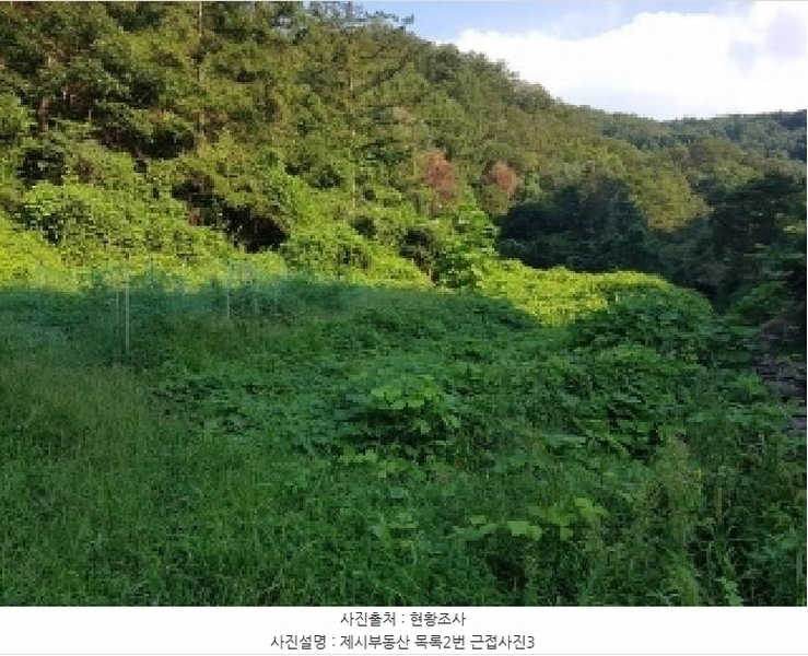 2025타경50824 강원특별자치도 춘천시 남산면 강촌리 435-4 임야 경매 이미지
