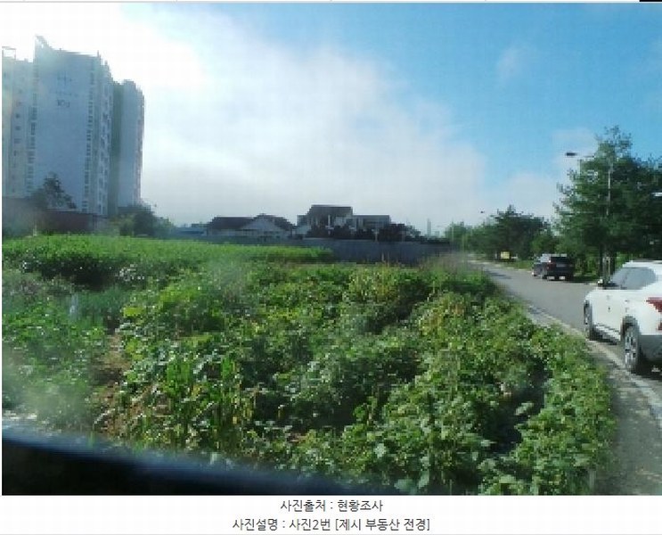 2025타경50831 강원특별자치도 양구군 양구읍 상리 582-14 대지 경매 이미지