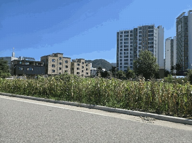 2025타경50831 강원특별자치도 양구군 양구읍 상리 582-14 대지 경매 이미지