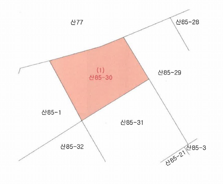 2025타경50832 강원특별자치도 춘천시 삼천동 산85-30 임야 경매 이미지