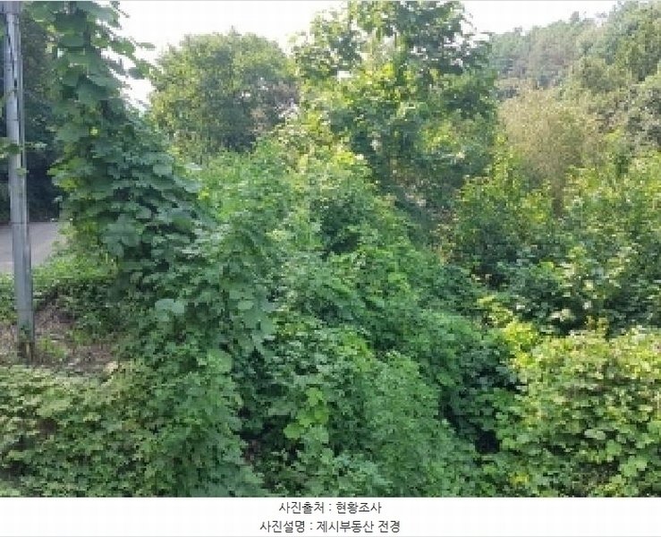 2025타경50869 강원특별자치도 춘천시 남산면 수동리 560 농지 경매 이미지