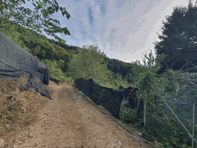 2025타경50912 강원특별자치도 홍천군 화촌면 야시대리 378-2 대지 경매 이미지