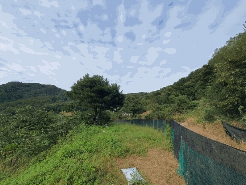 2025타경50912 강원특별자치도 홍천군 화촌면 야시대리 378-2 대지 경매 이미지