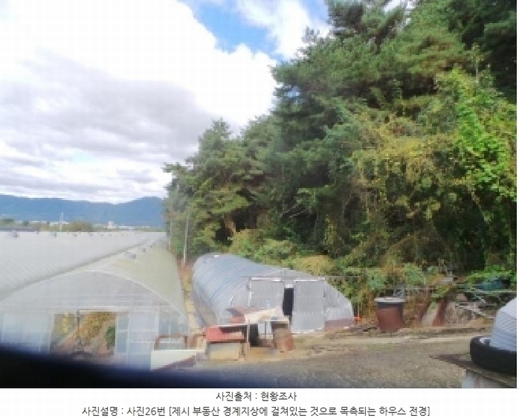 2025타경50916 강원특별자치도 춘천시 동면 장학리 산1-1 임야 경매 이미지