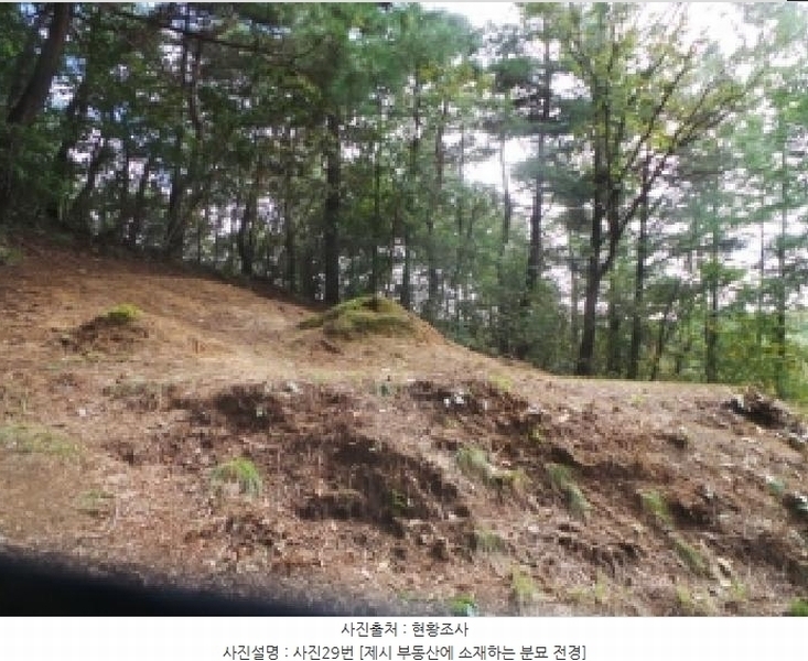 2025타경50916 강원특별자치도 춘천시 동면 장학리 산1-1 임야 경매 이미지