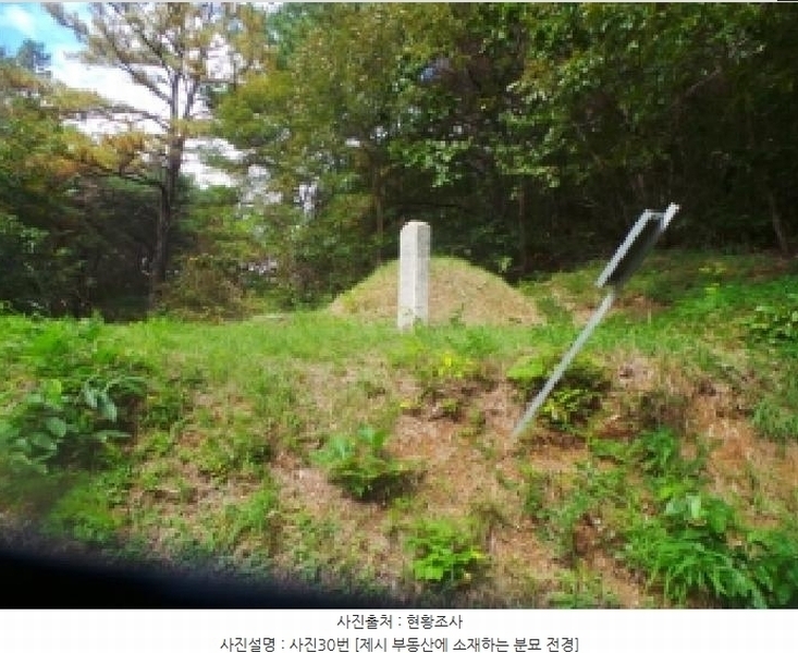 2025타경50916 강원특별자치도 춘천시 동면 장학리 산1-1 임야 경매 이미지