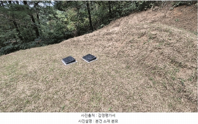 2025타경50916 강원특별자치도 춘천시 동면 장학리 산1-1 임야 경매 이미지