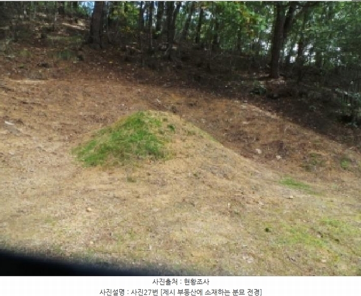 2025타경50916 강원특별자치도 춘천시 동면 장학리 산1-1 임야 경매 이미지