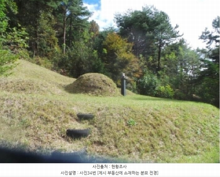 2025타경50916 강원특별자치도 춘천시 동면 장학리 산1-1 임야 경매 이미지