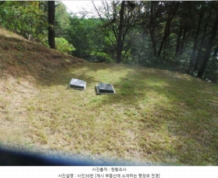 2025타경50916 강원특별자치도 춘천시 동면 장학리 산1-1 임야 경매 이미지