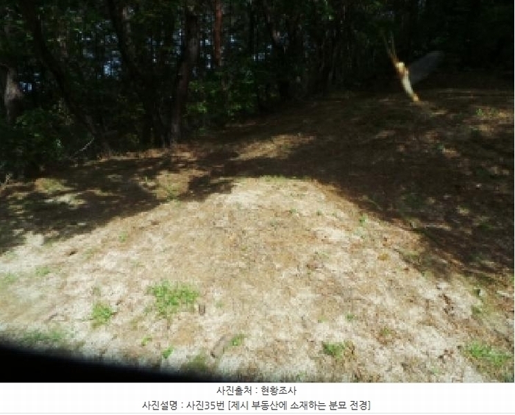 2025타경50916 강원특별자치도 춘천시 동면 장학리 산1-1 임야 경매 이미지