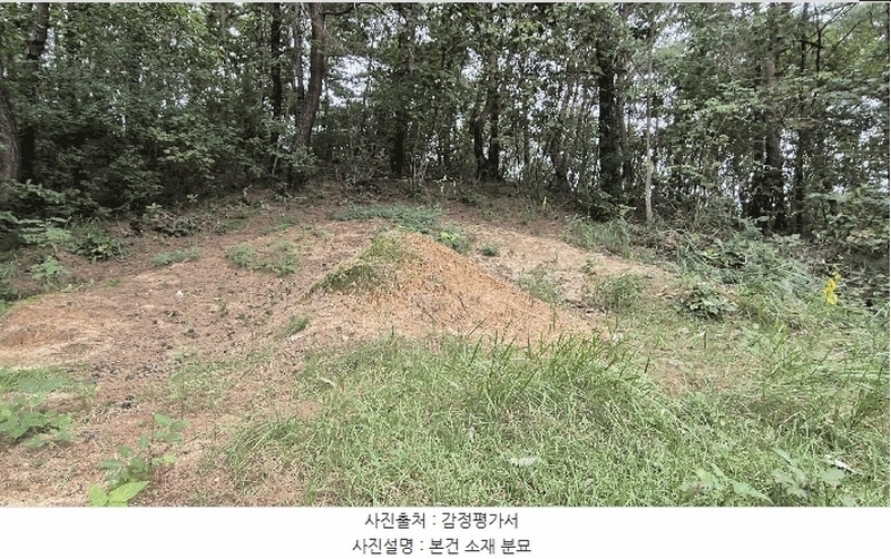 2025타경50916 강원특별자치도 춘천시 동면 장학리 산1-1 임야 경매 이미지
